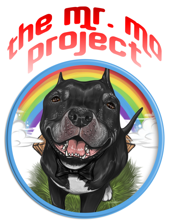 Mr. Mo Project