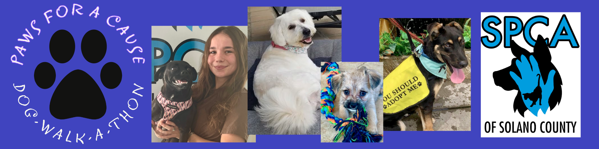 Paws for a Cause Dog-Walk-a-thon - Home