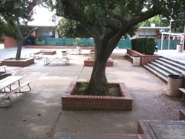 Small Quad