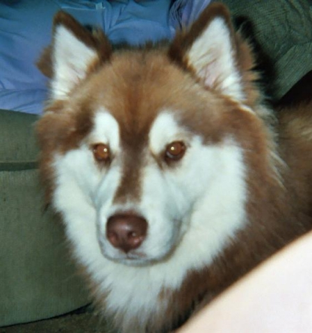 Nicky