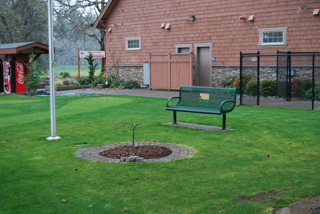 Photo #2 of the VA bench.