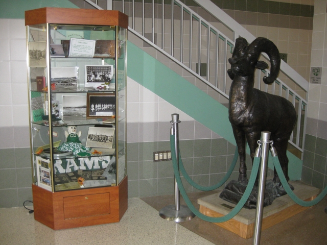 The Alumni Association purchased a display case. It sits in the aud/gym lobby, next to the Class of 2006 ram.