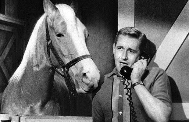 A horse is a horse of course of course - Mr. Ed of course