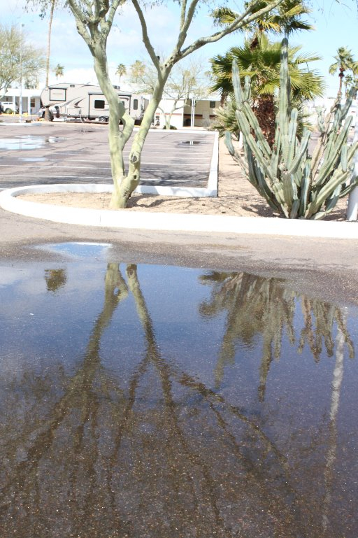 Mesa after rain