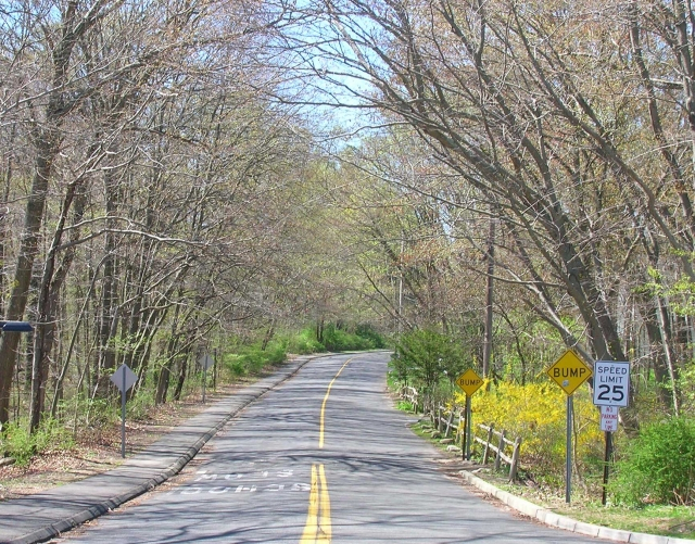Nutmeg Lane (MT)