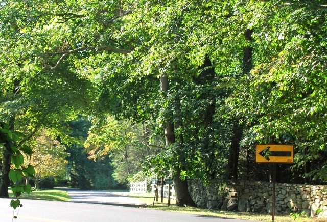 Wee Burn Lane (PH)