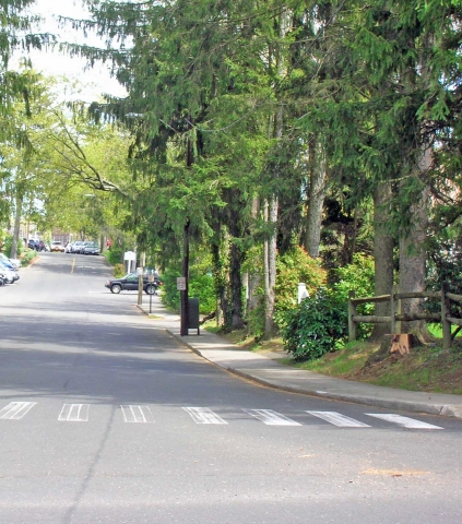 Squab Lane (MT)