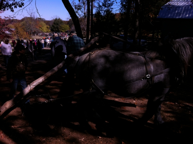 Pressing Cain for Syrup.