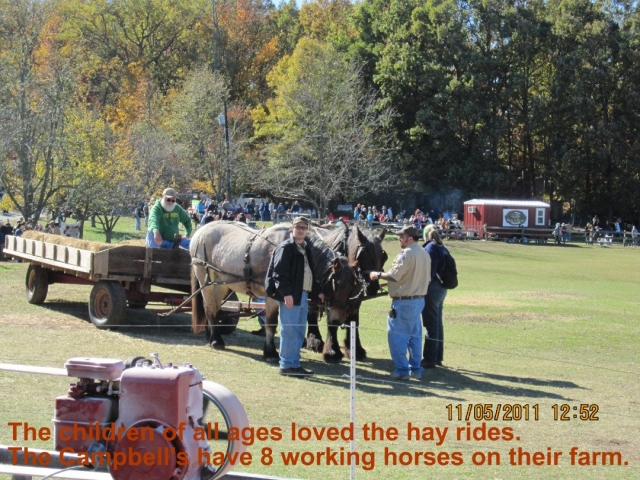 Hay Waggon