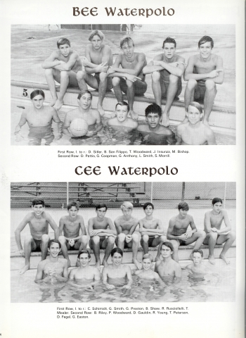 Bee & Cee Waterpolo