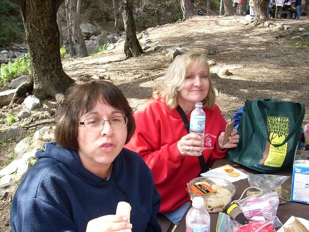The sun came out from behind the clouds and we had a wonderful picnic. 