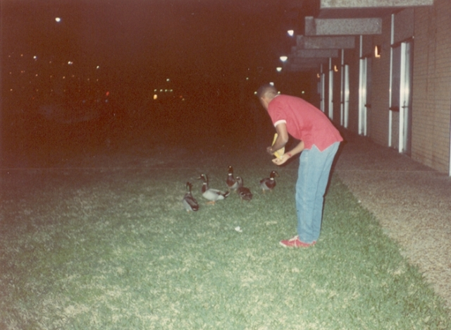 Awww....Paddo feeding the ducks