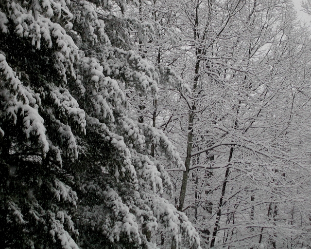 Happy holidays to all from our home on Bull Run Mountain just Southwest of Washington, D.C.  

Denny and Lorna (Westfall) Dunklee

Dennis R. Dunklee, Ph.D 
Education Leadership 
College of Education and Human Development 
George Mason University 
