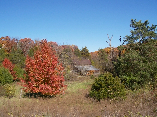 Branson Barn in October. Submitted by Dale Hedrick.