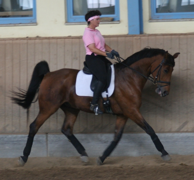 This is my 2nd occupation. I teach and traing Dressage Riding. Here I am in German getting instuction myself.