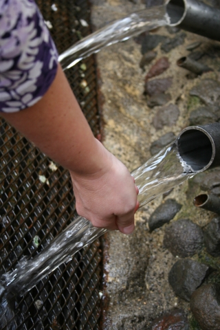 I drank the holy water at the Basilica. Ill take all the help I can get :) 