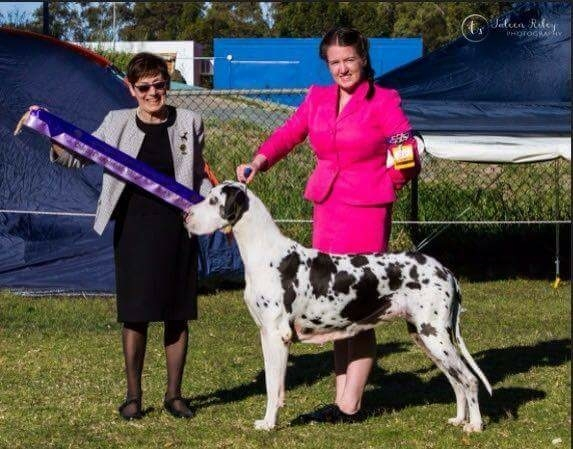 Best Neuter In Show 17/9/16