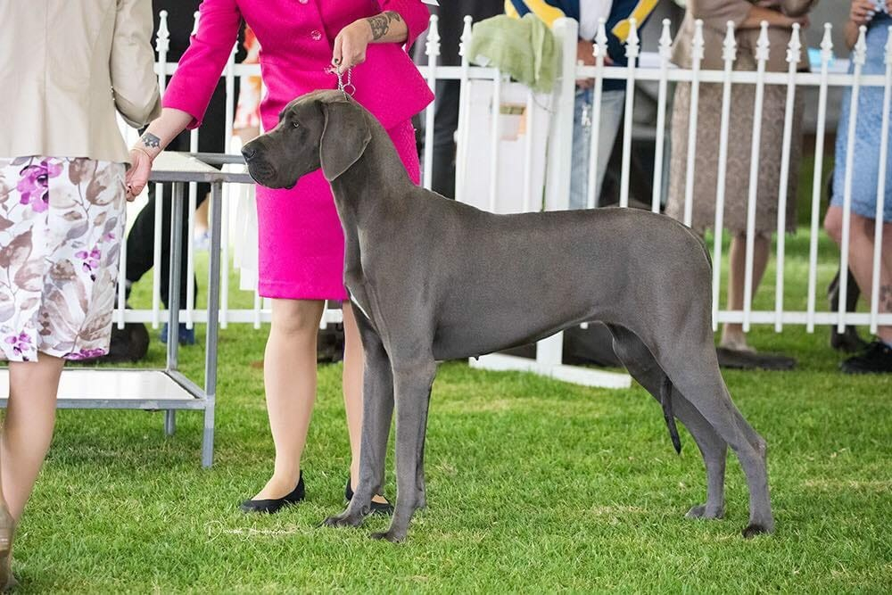 Perth Royal Show 2018