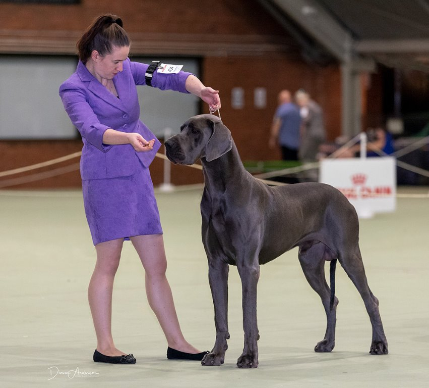 Best Aust Bred in Group March 2020