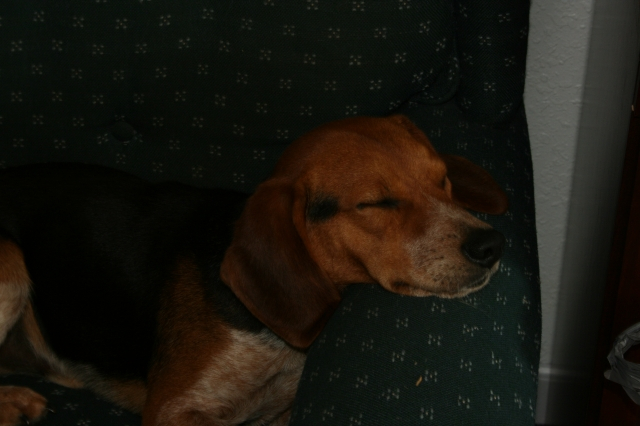 Sleeping all the time!
