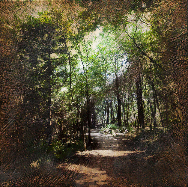 Walk By Faith - Larry Maupin