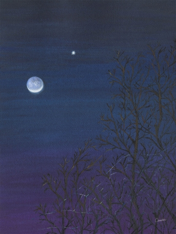 Moon Silk-Camille Riggs
