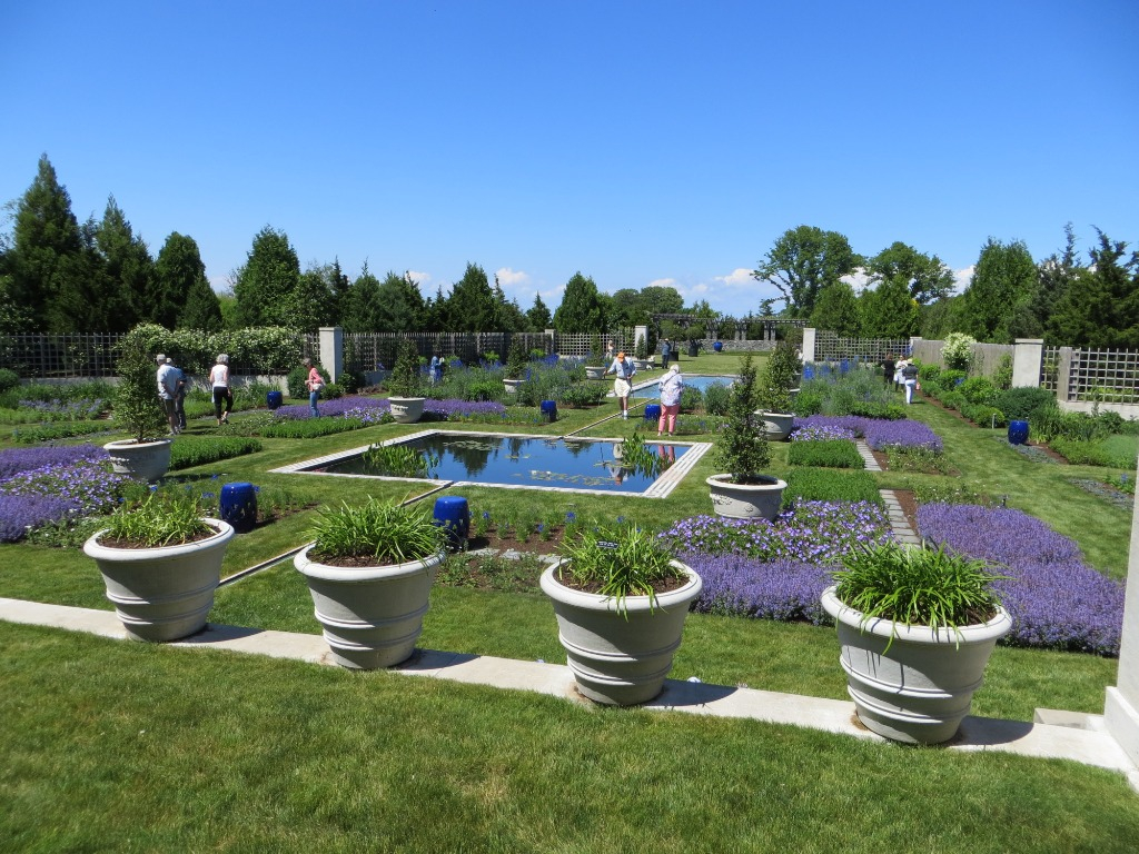 The Blue Garden