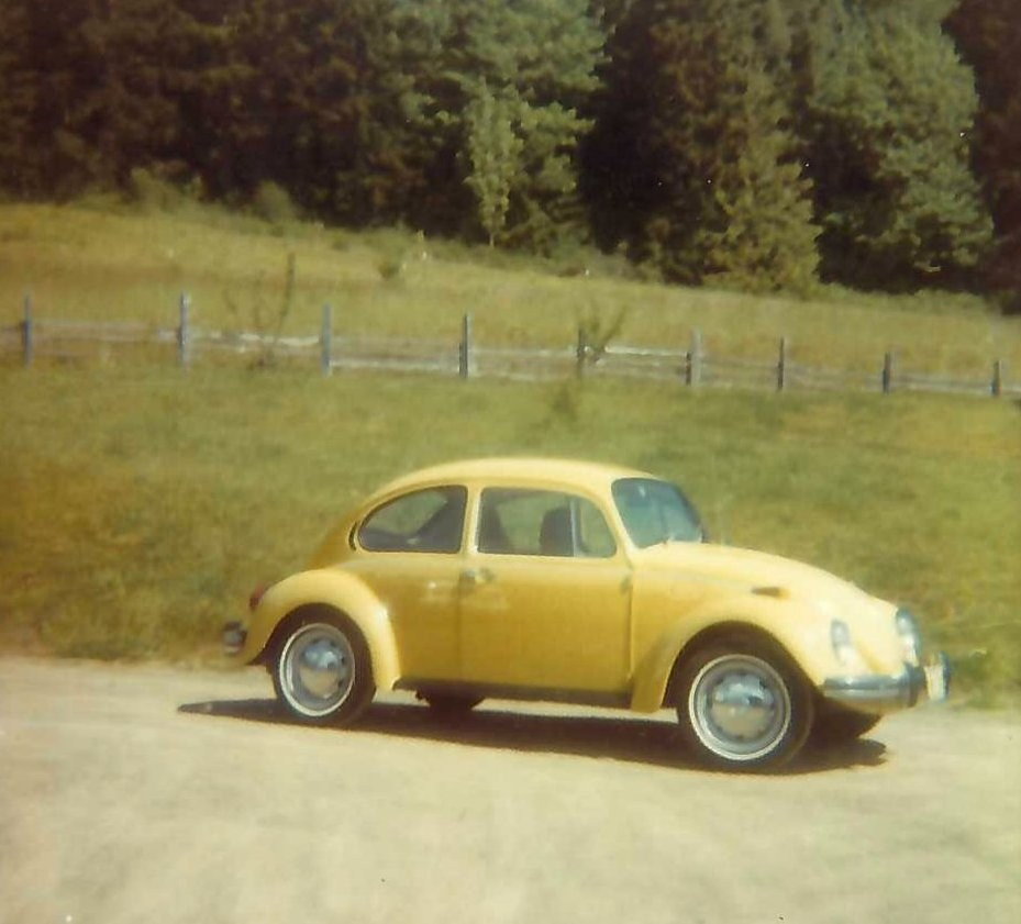 1973 VW Bug