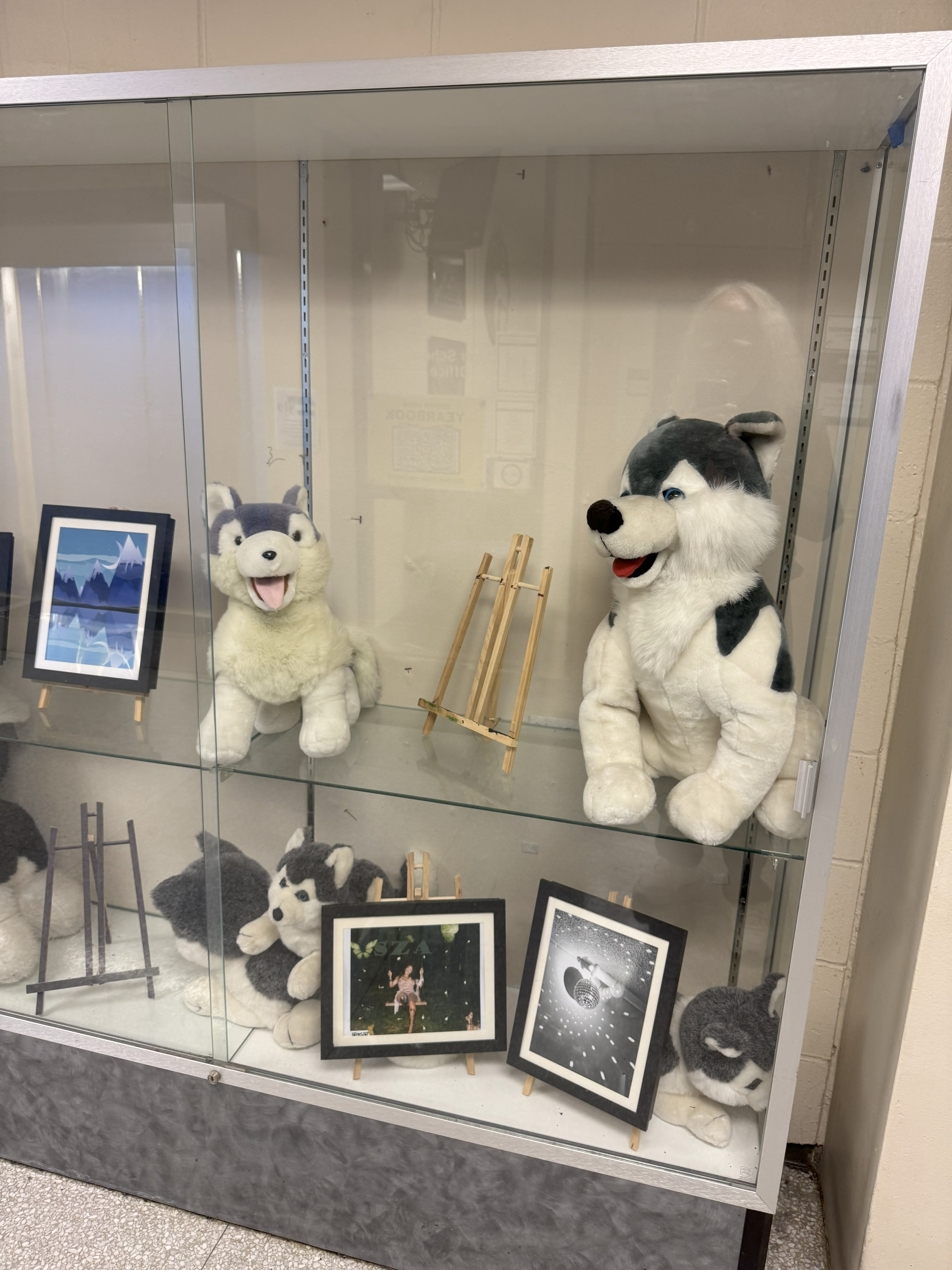 Huskie plushes in showcase