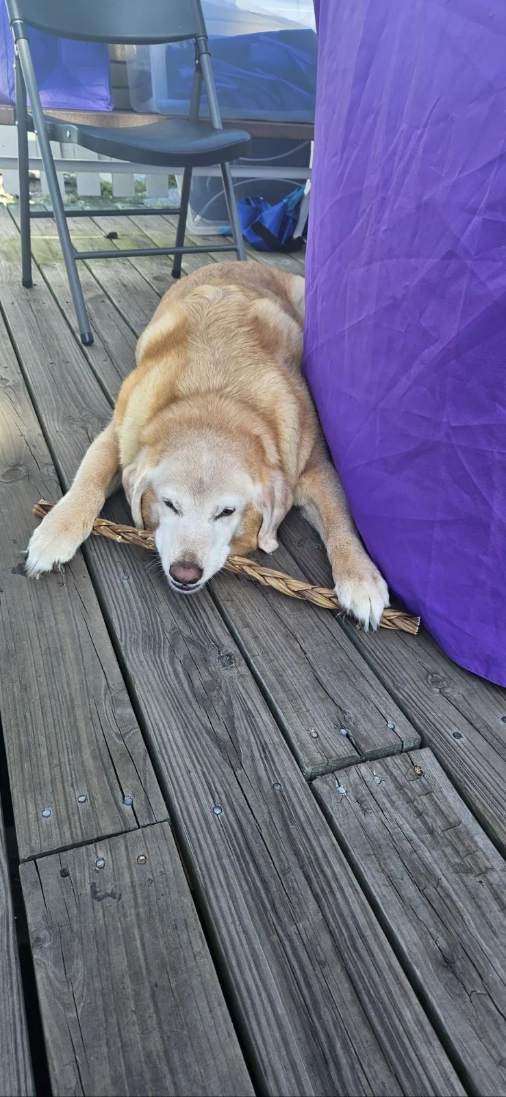Addie