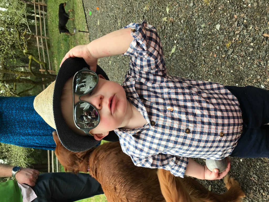Maximus Easter sunglasses