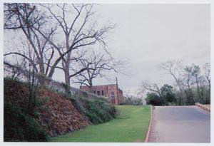Street view of the wall on Spring Street in Palestine, Texas built by Ivery Lee Price (Dib)