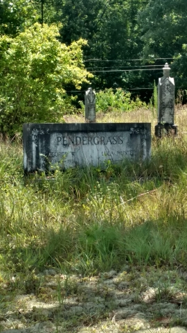 George W. Pendergrass and Lula Hunter
