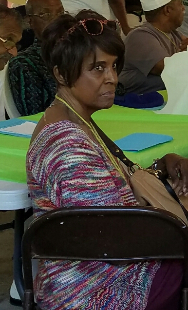 Ellen B. Flemister 2017
