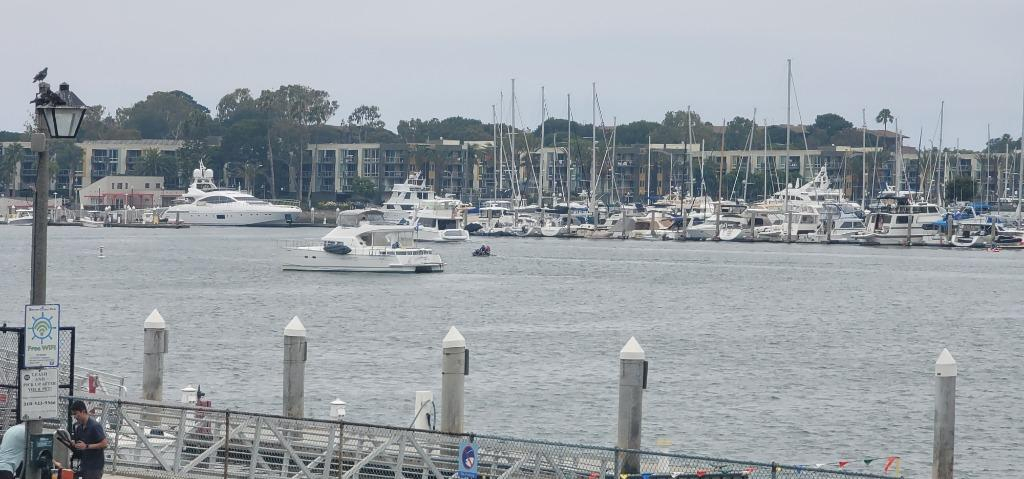 Picnic at Marina del Rey Park