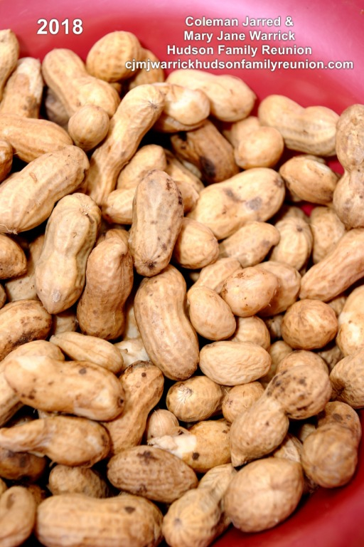 2018 – HJ Register – Tradition:
Henry (HJ) James & Helen Peterson Register always bring a batch of their oversized boiled peanuts to the pot luck lunch. They save peanuts from one season to use as seeds for their next garden crop.