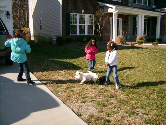Marisa & Daisey - Nia & Pebbles while Mya looks on
