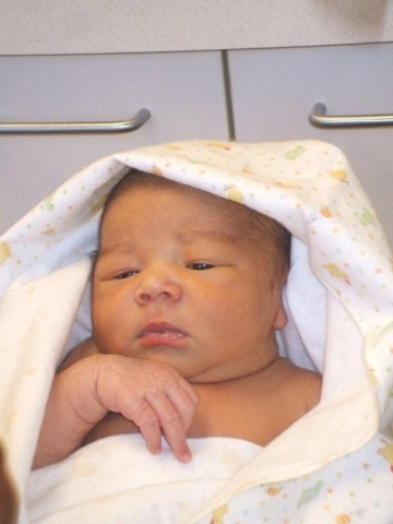 Nicholas Aldren Abraham 