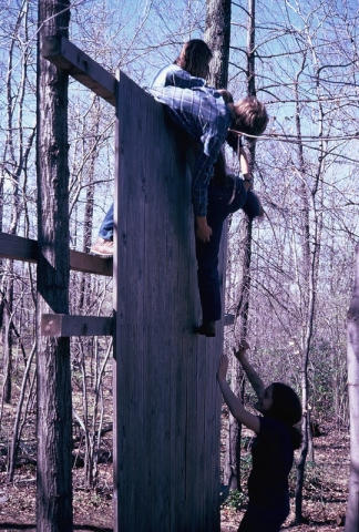THE WALL