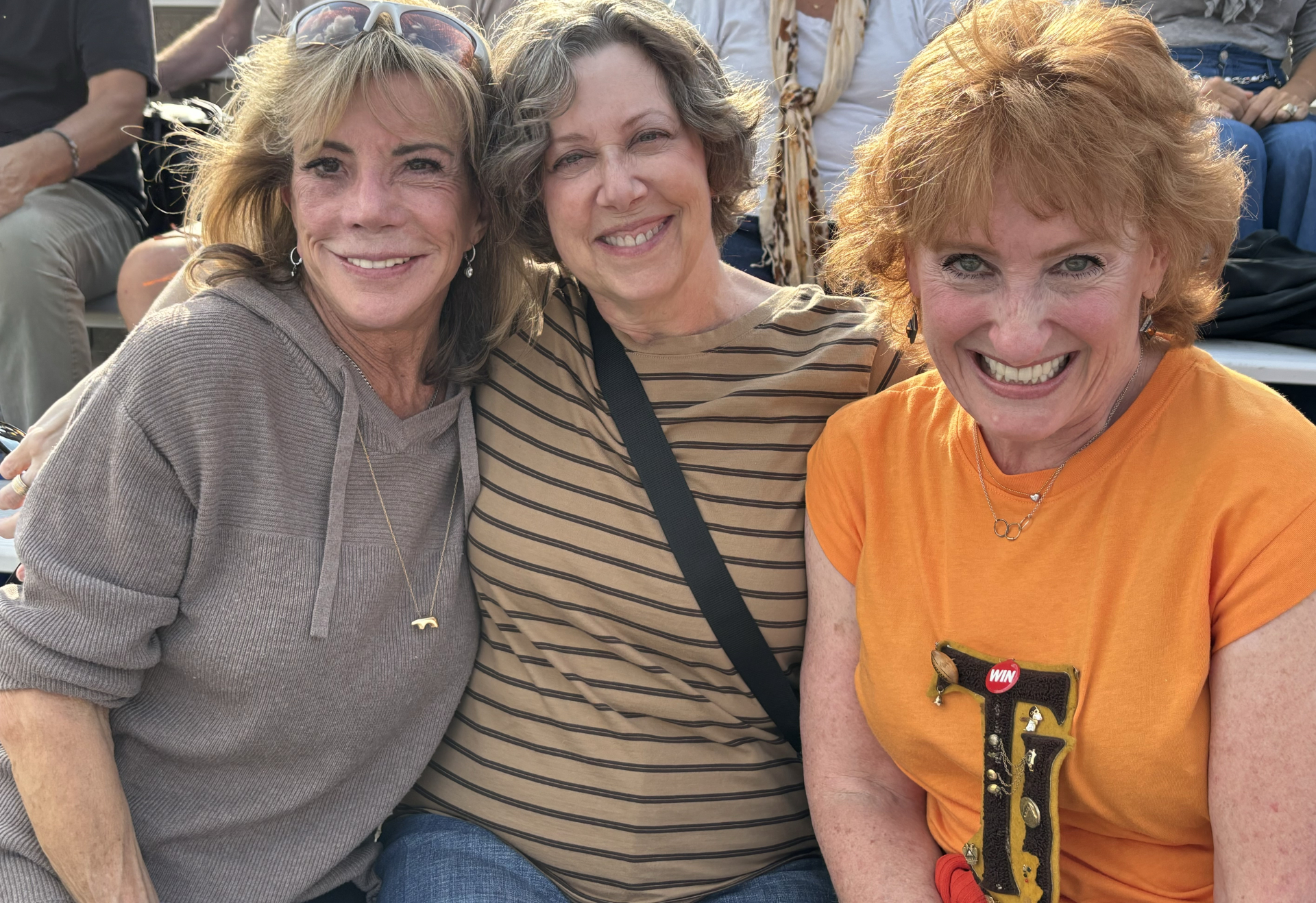 Julie Hayek Jackson, Terry Neuman, and Amy Dworkin Brenman