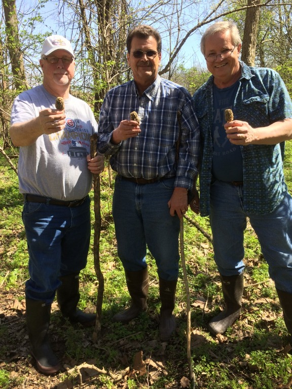Three Amigos at The Old Patterson Farm