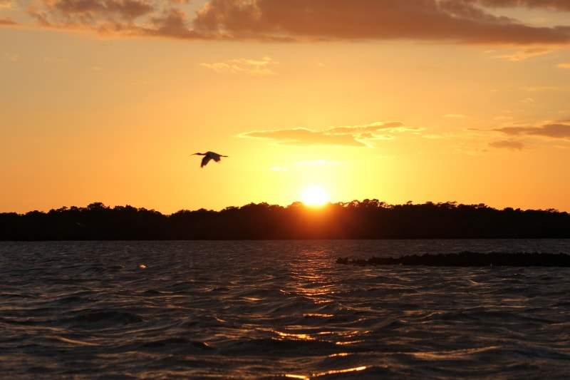 Everglades