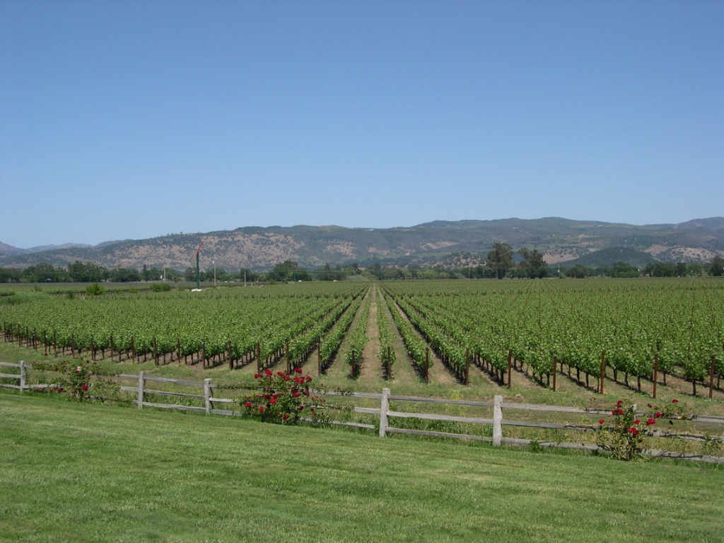 Napa