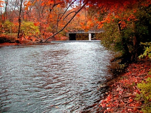 Passaic River in the fall