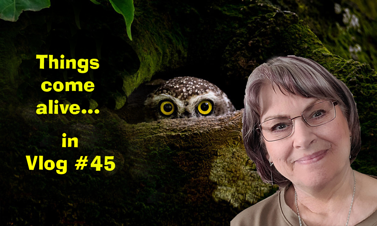 Vlog 45 is coming alive with so many things and ALL AT ONCE!