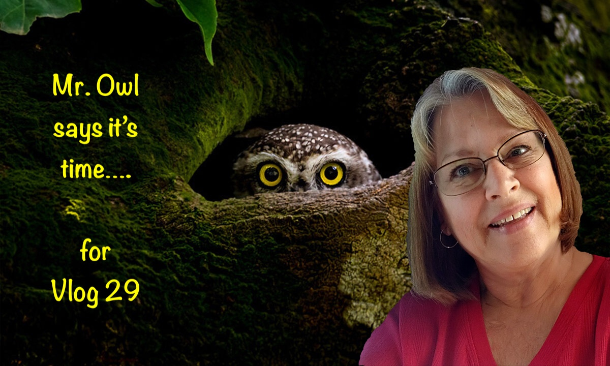 Vlog 29 - Will we ever know the truth about JFK, JFK, Jr., 9/11 or Charlie Kirk?