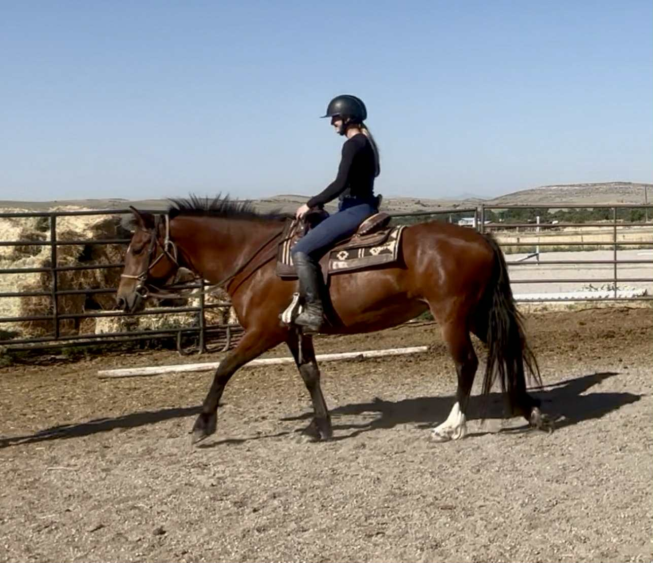Rosie - 3,000 OBO