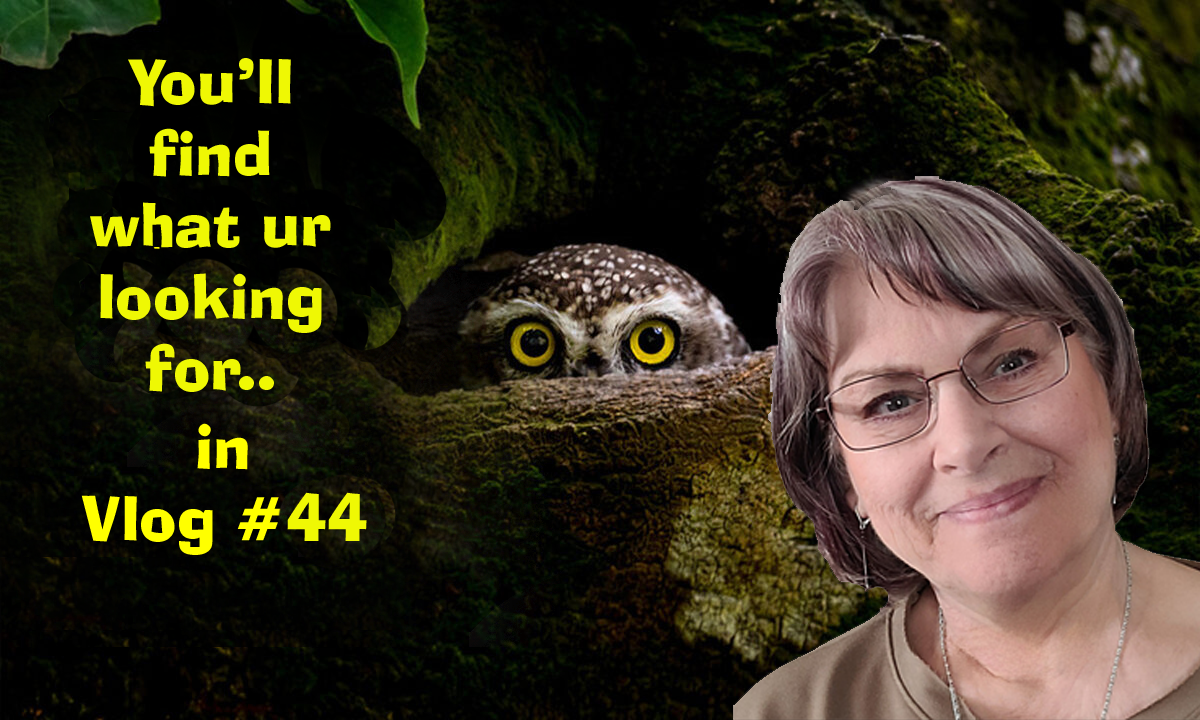 Vlog 44 is loaded with stuff that'll keep your brain spinning....