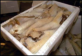 Lutefisk