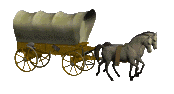 Phil and Rachel Ford's Family Transportation